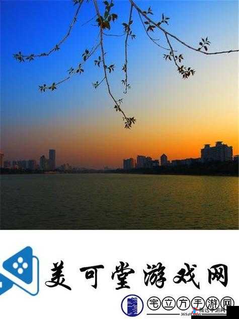 经典国产电影一曲二曲三曲之深度解读与精彩分析