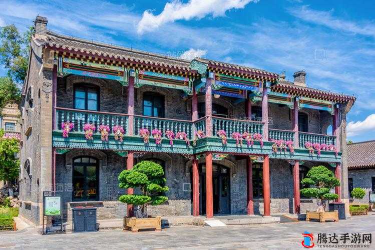 小青楼短视频 APP ：带你领略精彩多元的视频世界