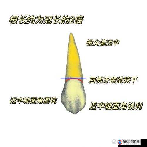 二次灭绝原始尖牙怎么获得,详细方法介绍