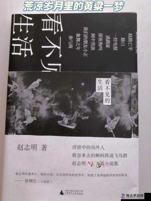 村医老王小雨小说阅读：乡村医疗故事中的人性与温暖