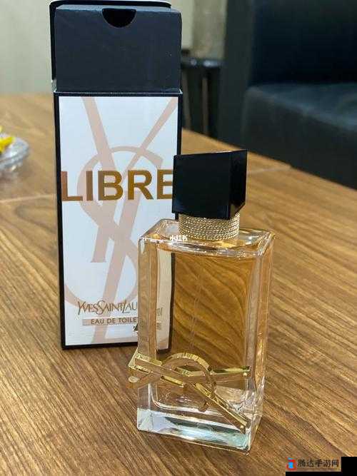 ysl 千人千色 ae86v9:时尚与个性的完美结合