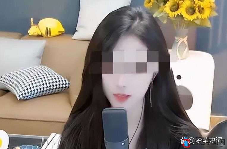 免费开放的 API 大全被女主播白嫖:平台应如何应对?