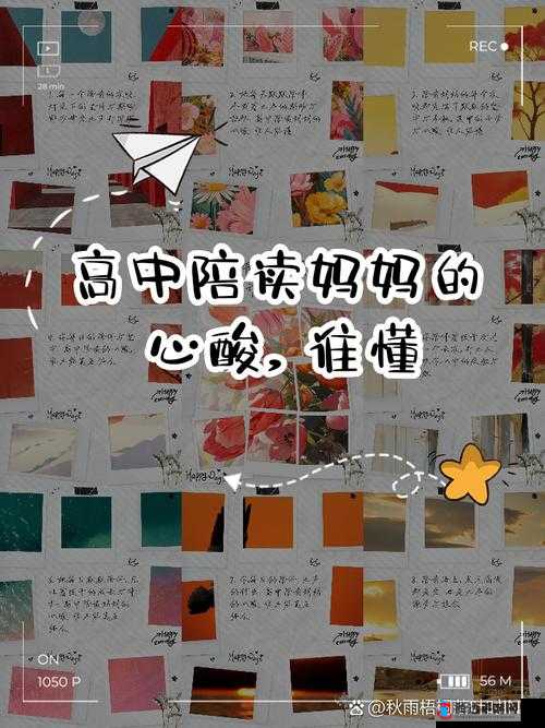 陪读妈妈王晓灿小说:一位母亲在陪读路上的爱与坚守
