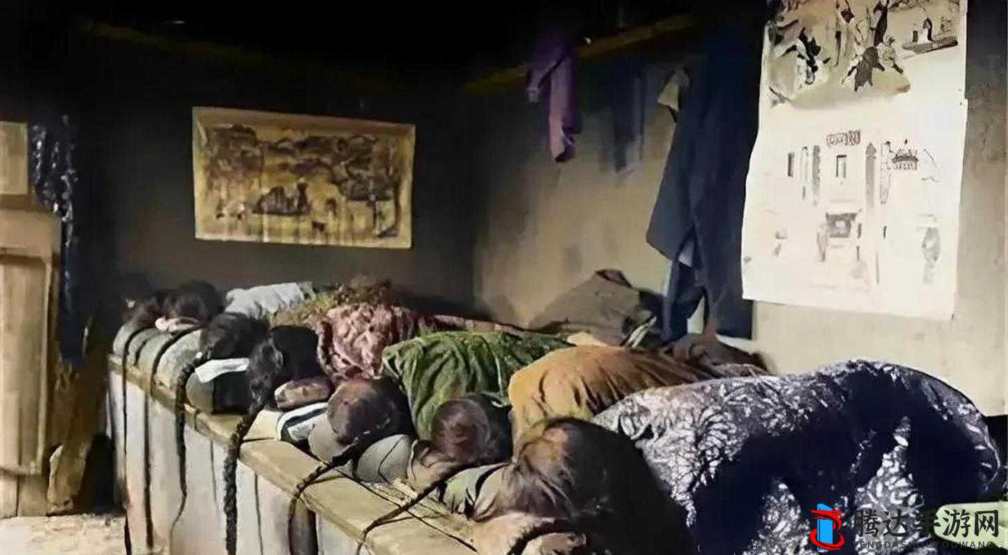 东北大通炕乱 3 伦：一场别样的混乱场景