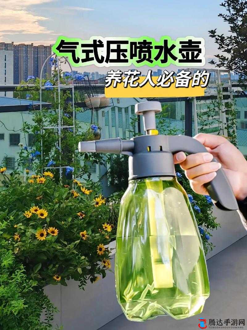 一方灵田如何有效提供水分，详细解析洒水壶的用途与操作方法