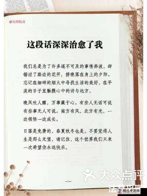 里面也请好好疼爱第六话:一场关于爱的深刻探讨与领悟