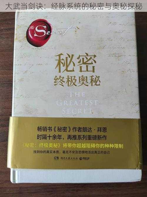 大武当剑诀:经脉系统的秘密与奥秘探秘