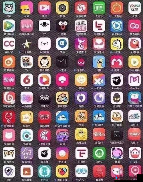 深夜直播 APP 哪个好:深度剖析与详细对比指南