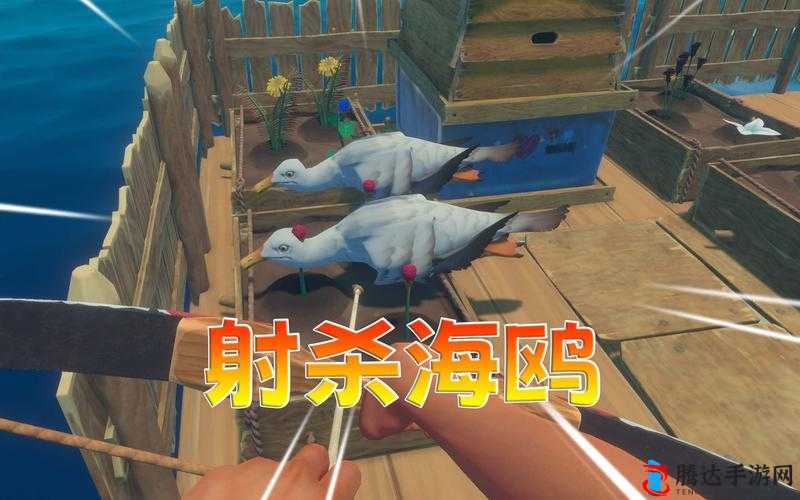木筏求生,如何有效击杀海鸥的详细方法介绍