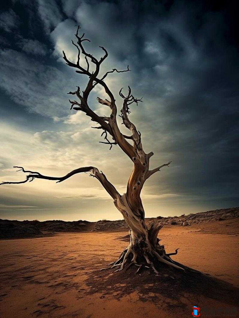荒草坡下两扇门:见证岁月变迁的神秘所在