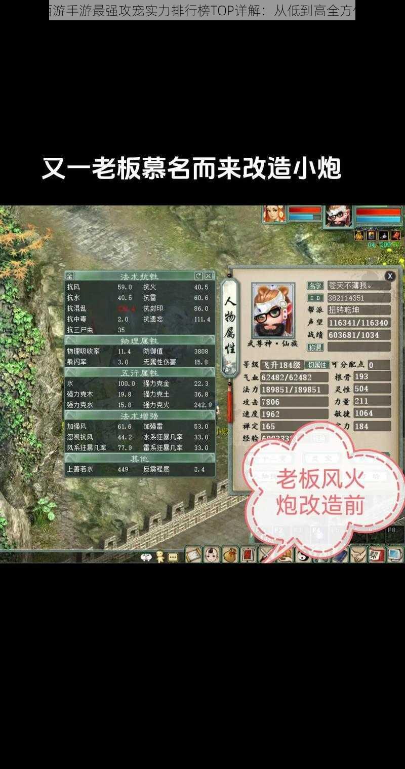 大话西游手游最强攻宠实力排行榜TOP详解:从低到高全方位解读