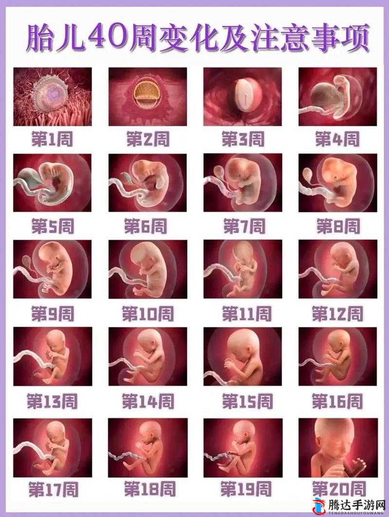 宝宝对准了坐下来自己动:探索宝宝成长的奇妙过程