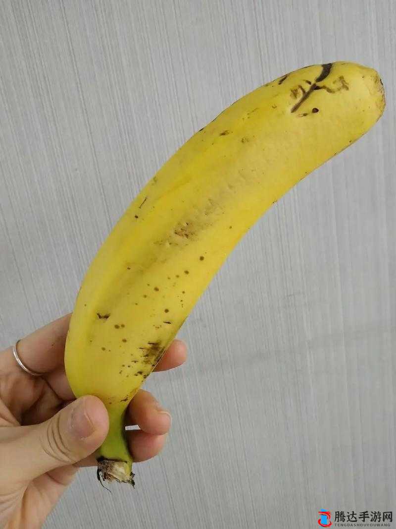 成人内容引争议:香蕉视频黄色人与兽引发的反思