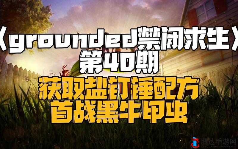 Grounded盐锤怎么获得?解锁你的生存利器