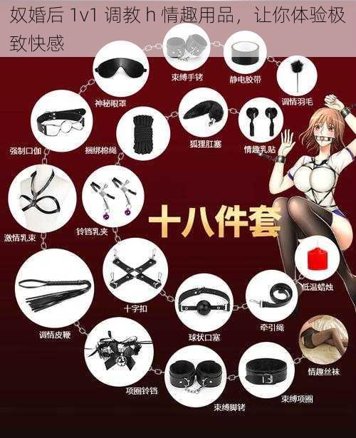 奴婚后 1v1 调教 h 情趣用品，让你体验极致快感