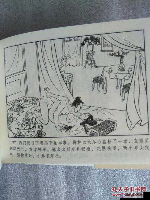 林太太府中逢甘雨:一场奇妙而特别的相遇故事