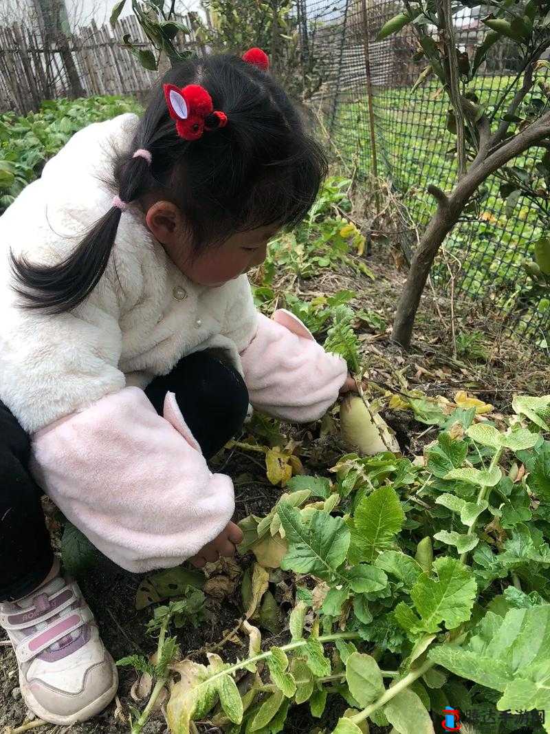 二人世界拔萝卜:不一样的田园时光