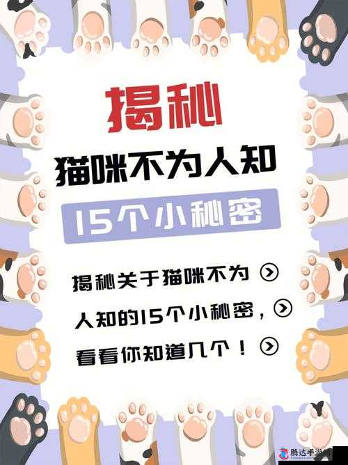 黑料网独家爆料破解版:带你探索不为人知的秘密世界
