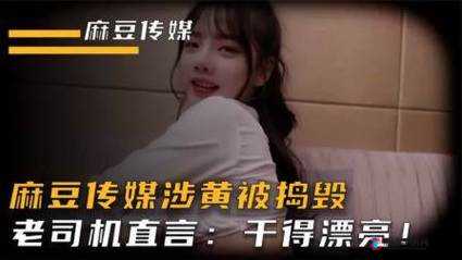 媒豆传媒免费视频入口网站:畅享精彩无极限