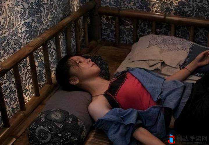 1313 伦理苦瓜网电影：独特视角下的情感纠葛