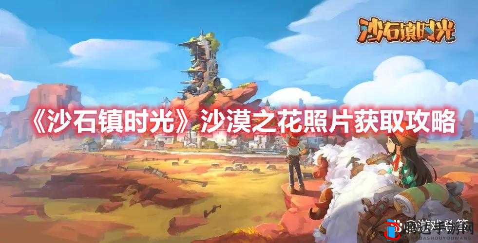 沙石镇时光,沙漠之花照片的获取方法介绍