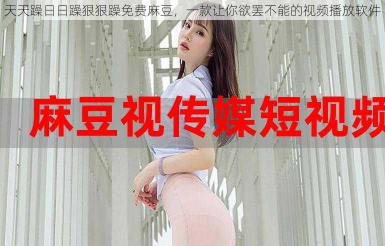 天天躁日日躁狠狠躁免费麻豆,一款让你欲罢不能的视频播放软件