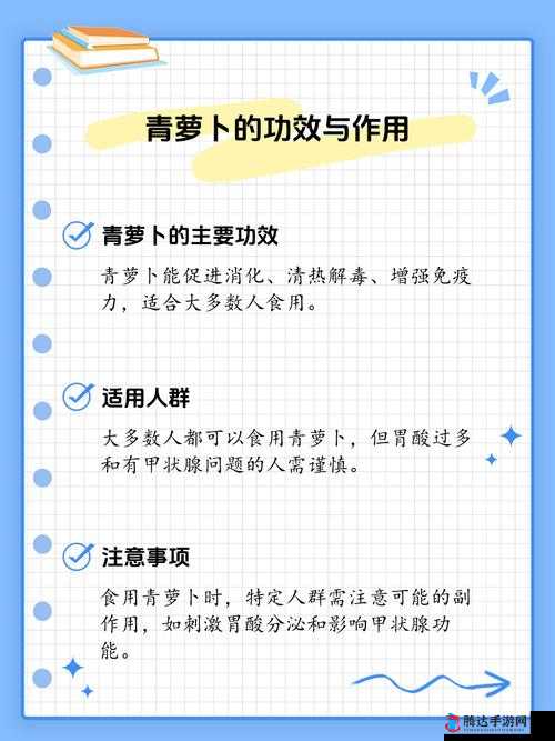 这就是战争新手必看 从入门到高手的全方位小贴士大揭秘