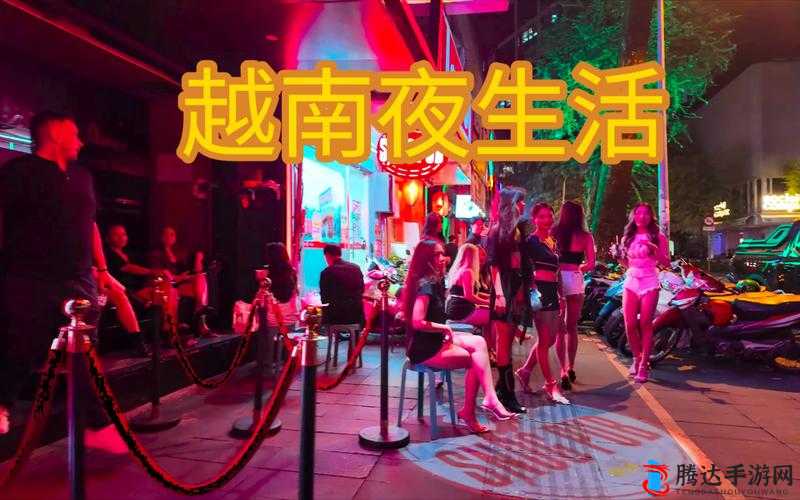 夜月真人秀直播：窥探真实的夜之魅力