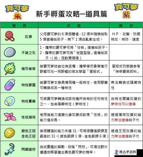 纯国新手攻略:常规功能解析与实战指南