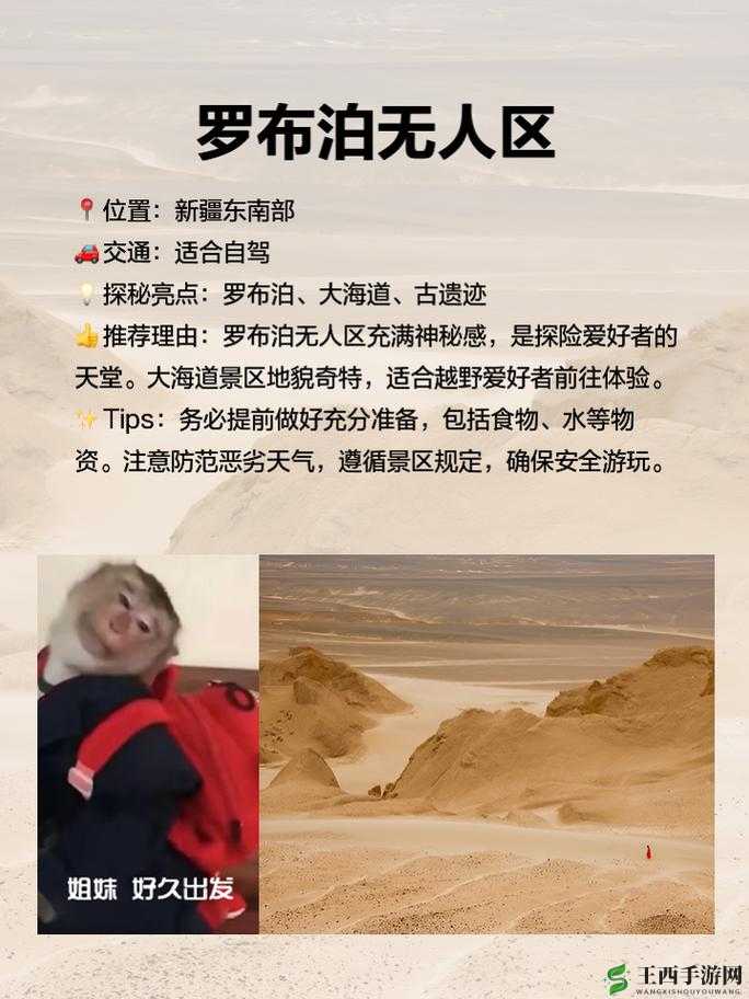 无人区卡一卡二卡乱码图:探索神秘之境