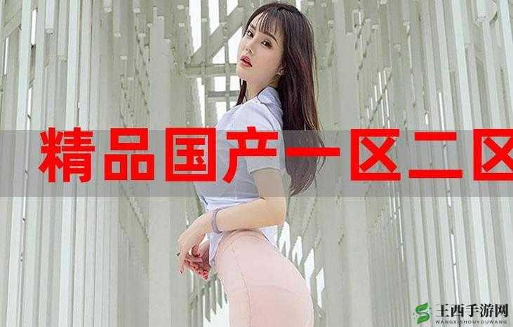 国精产品一二三线 999:优质产品集合