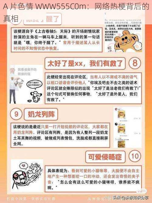 A 片** WWW555C0m:网络热梗背后的真相