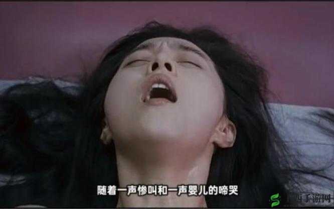 少妇与公豬交视频：探索欲望的边界