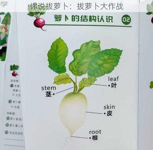 你说拔萝卜:拔萝卜大作战