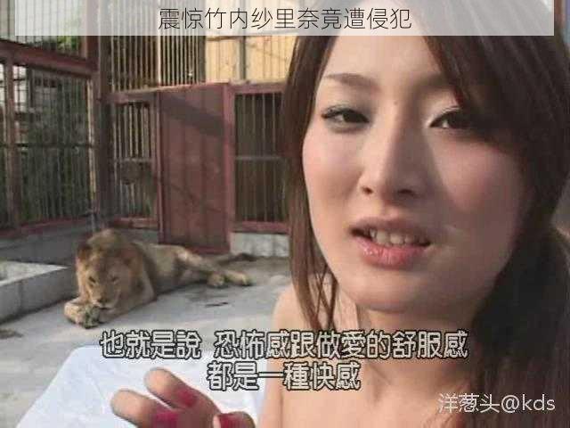 震惊竹内纱里奈竟遭侵犯