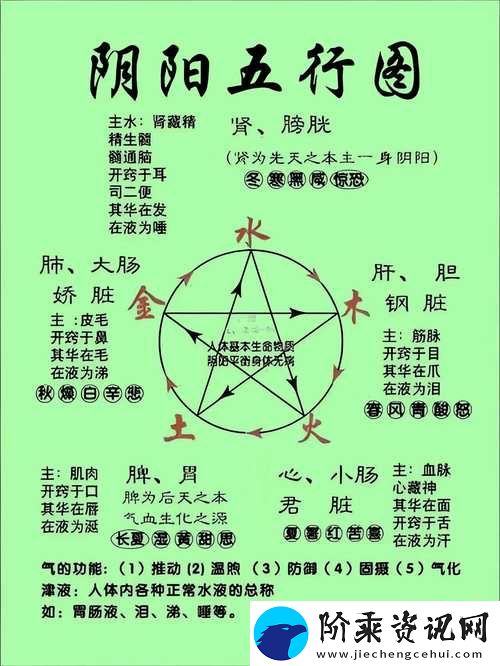和谐共生：母与子之间的阴阳调和