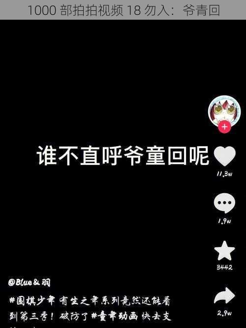 1000 部拍拍视频 18 勿入:爷青回