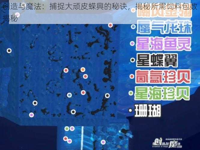 创造与魔法:捕捉大顽皮蝾興的秘诀,揭秘所需饲料包数揭秘