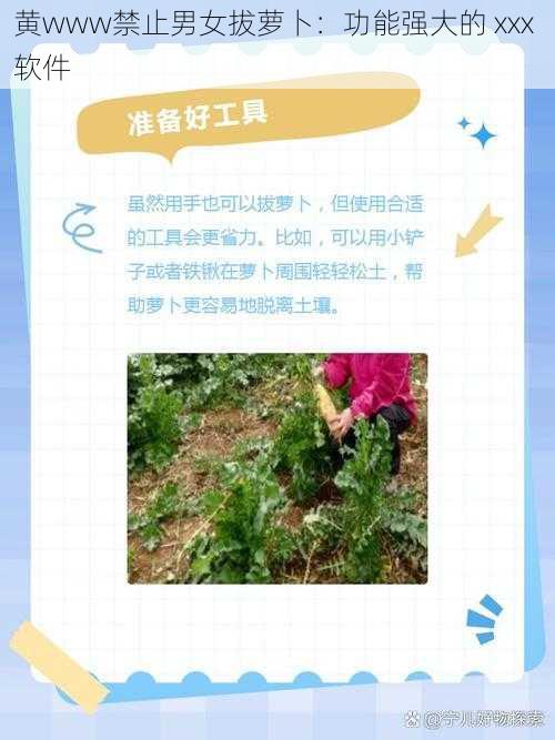 黄www禁止男女拔萝卜:功能强大的 xxx 软件
