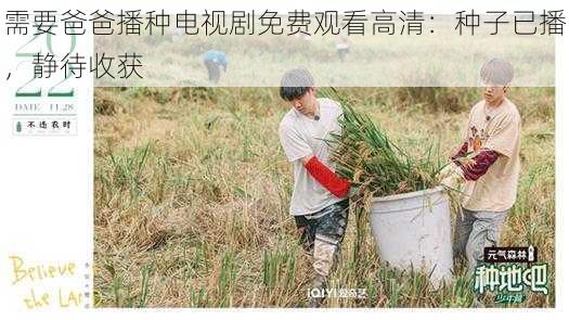 需要爸爸播种电视剧免费观看高清:种子已播,静待收获