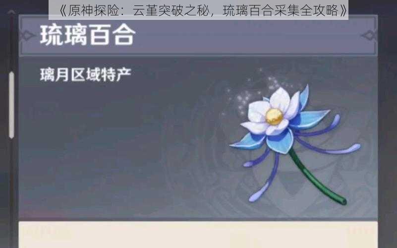 《原神探险:云堇突破之秘,琉璃百合采集全攻略》