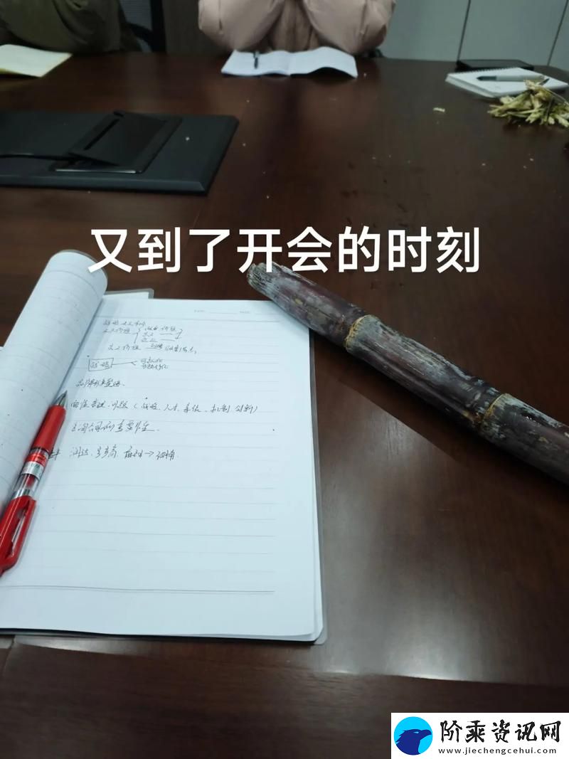 高效会议的背后坚持-开会也一直放里面