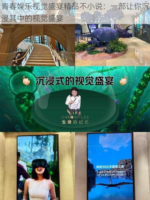 青春娱乐视觉盛宴精品不小说:一部让你沉浸其中的视觉盛宴