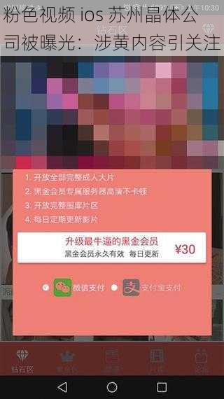 粉色视频 ios 苏州晶体公司被曝光:涉黄内容引关注