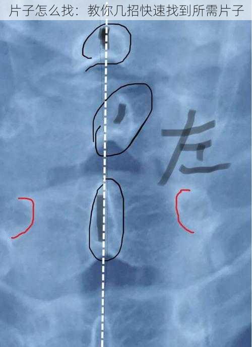片子怎么找：教你几招快速找到所需片子