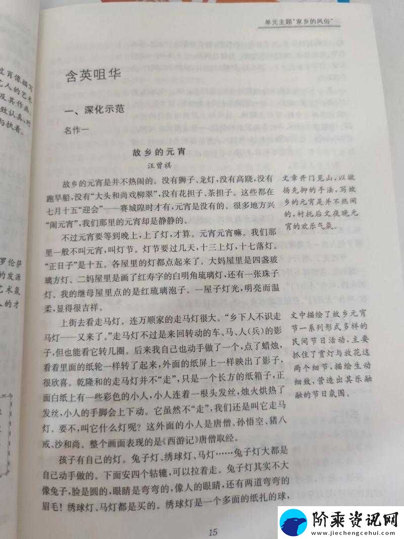 元宵夜游记忆：探索怀旧元素下的元宵通关攻略