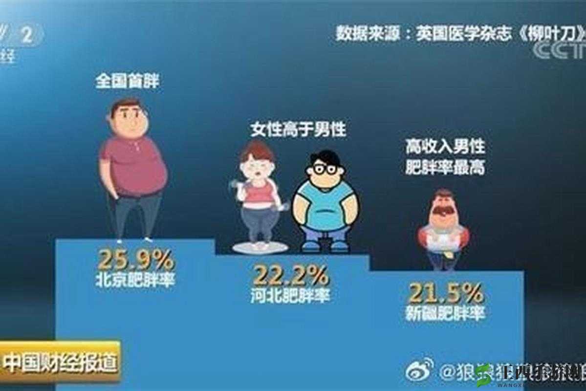 中国大肥胖 VPSWINDOWS:探索其独特之处