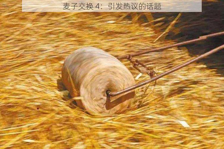 麦子交换 4：引发热议的话题