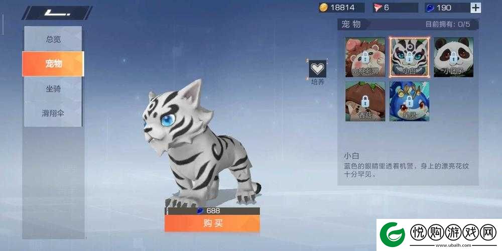 风云岛行动香菇宠物全面解析，价格、技能及实用性一览