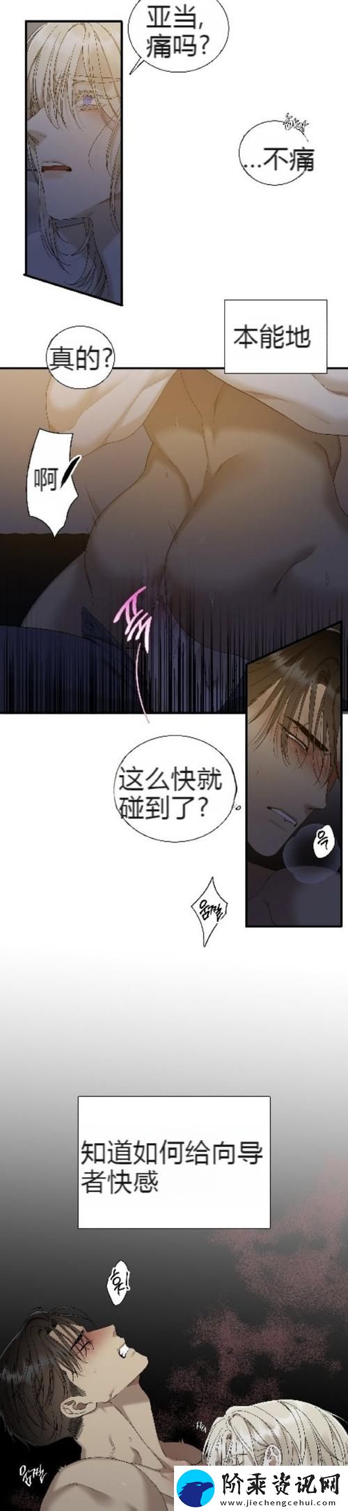 体验“大肉大捧一进一出好爽MBA”的新视角